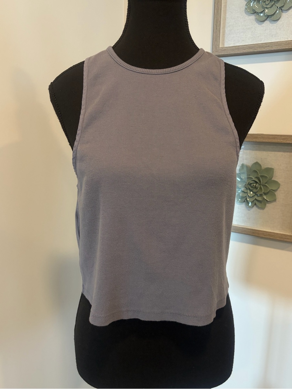 Free-est by Free People Grey Crewneck Ribbed Crop Tank NWT!